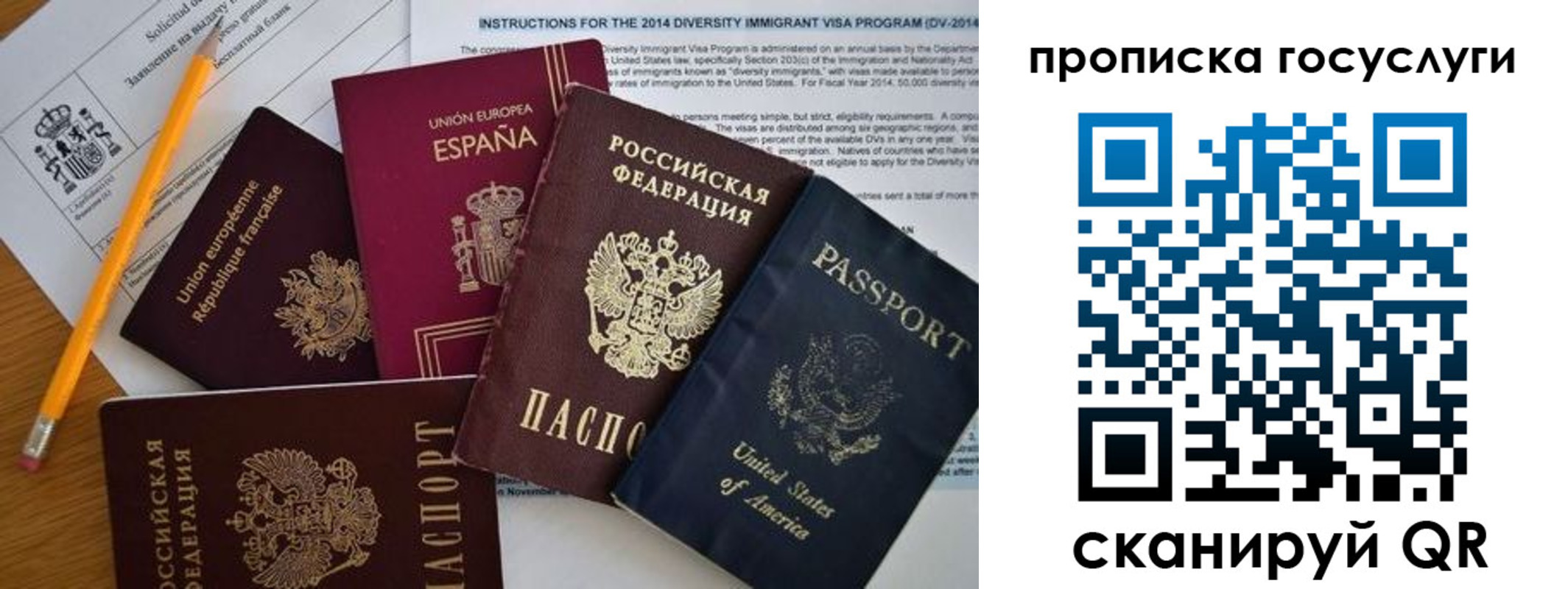прописка гарантия в Судогде
